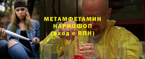 индика Бронницы